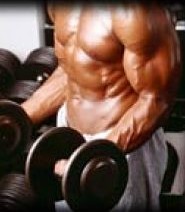 bodybuilding articles
